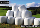 Případová studie: Jak se recyklují marshmallows?